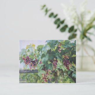 Carte Postale Loire Valley Vineyard – French Grape Painting