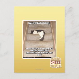Carte Postale Lois de Kitteh Probabilité