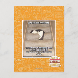 Carte Postale Lois de Kitteh Probabilité