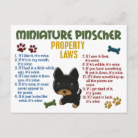 Lois de propriété Miniature Pinscher 4