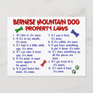 Carte Postale Lois sur la propriété du CHIEN DE MONTAGNE BERNOIS