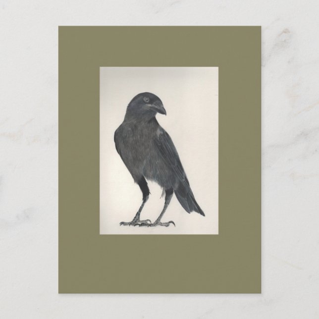 Carte Postale L'oiseau (Devant)