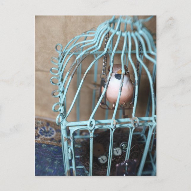 Carte Postale L'oiseau détient la clé (Devant)