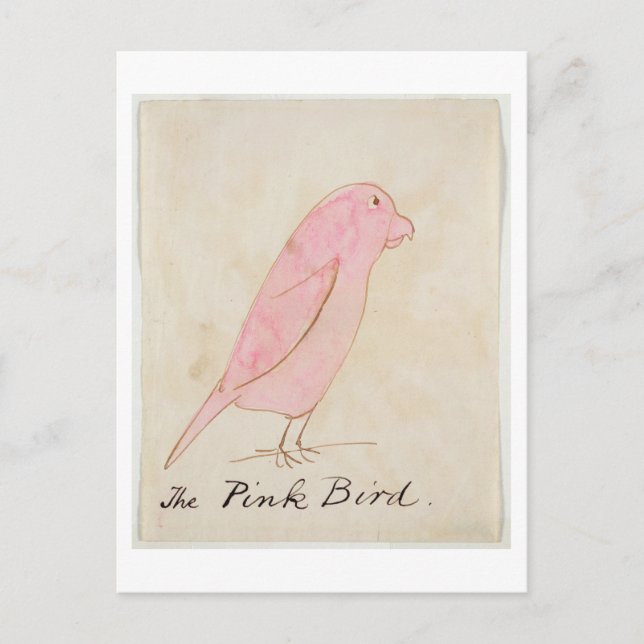 Carte Postale L'oiseau rose, de 'Seteen Drawings of Comic Bir (Devant)