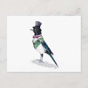Carte Postale L'oiseau victorien Magpie