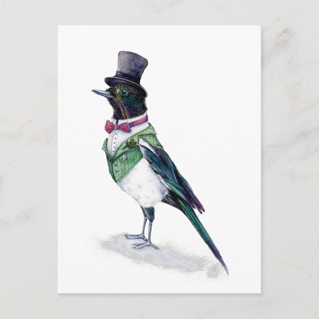Carte Postale L'oiseau victorien Magpie (Devant)