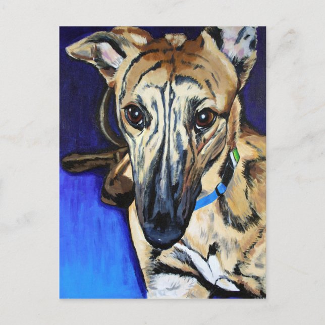 Carte Postale Loki - chien de Lurcher (Devant)