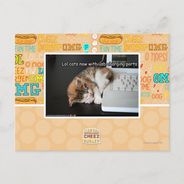 Carte Postale Lol cats with USB (Devant)