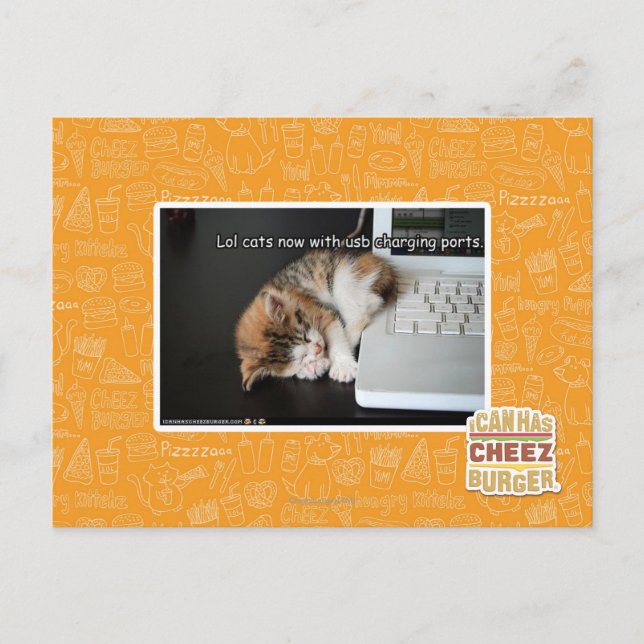 Carte Postale Lol cats with USB (Devant)