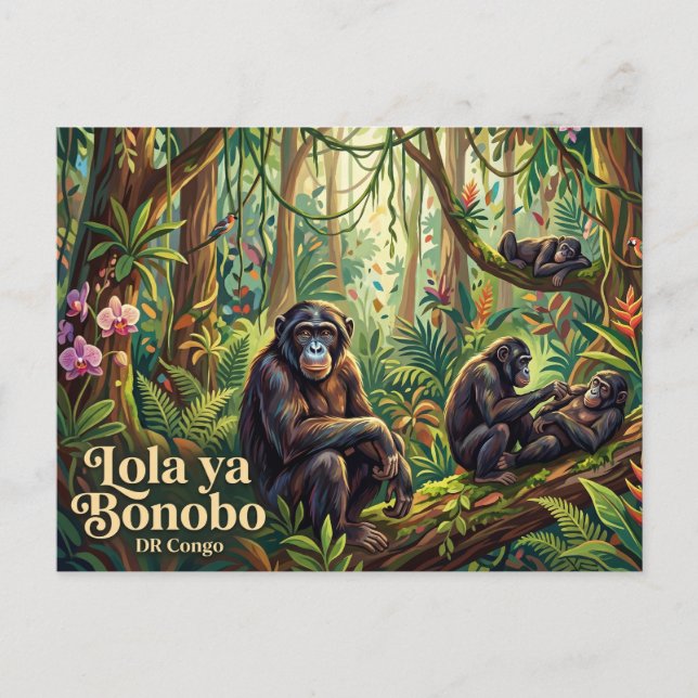 Carte Postale Lola ya Bonobo Sanctuary (Devant)