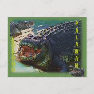 Carte Postale Lolong - "Le plus grand crocodile jamais capturé"