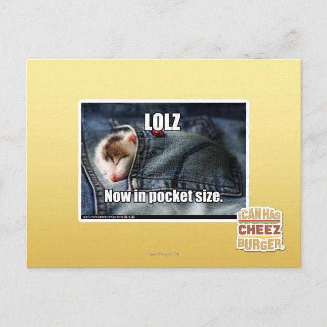 Carte Postale LOLZ maintenant dans la taille de poche (Devant)