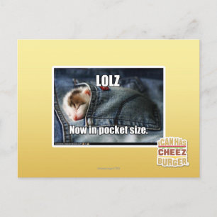 Carte Postale LOLZ maintenant dans la taille de poche