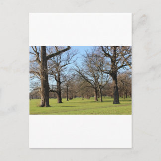 Carte Postale Londres