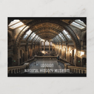 Carte Postale Londres - Musée d'Histoire Naturelle
