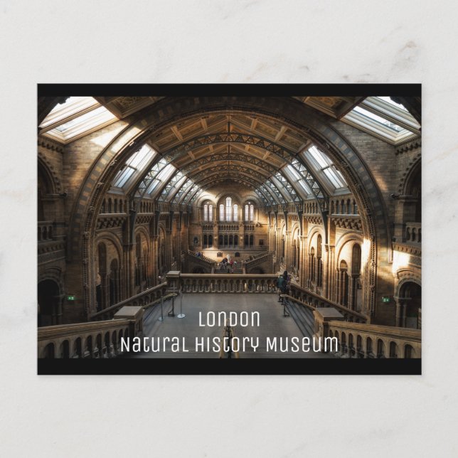 Carte Postale Londres - Musée d'histoire naturelle (Devant)