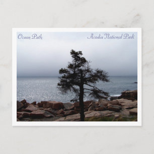 Carte Postale Lone Sentinel sur Ocean Path
