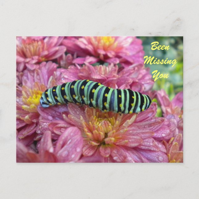 Carte postale Lonely Caterpillar "Missing you" (Devant)