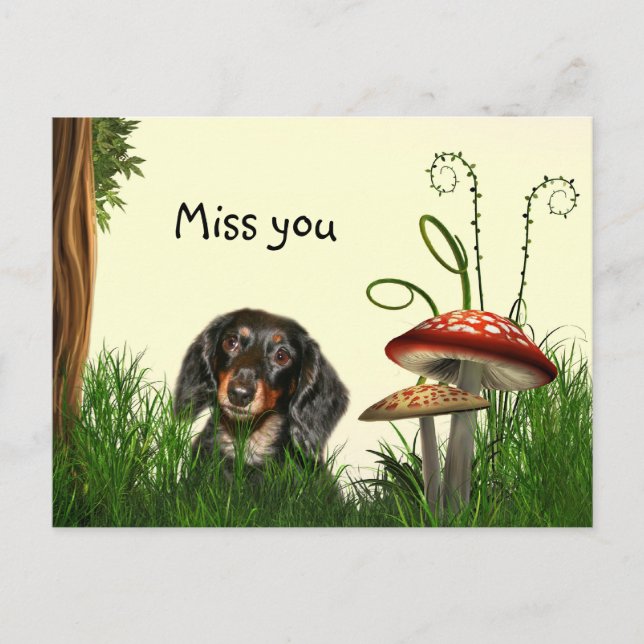 Carte Postale Lonely Dachshund (Devant)