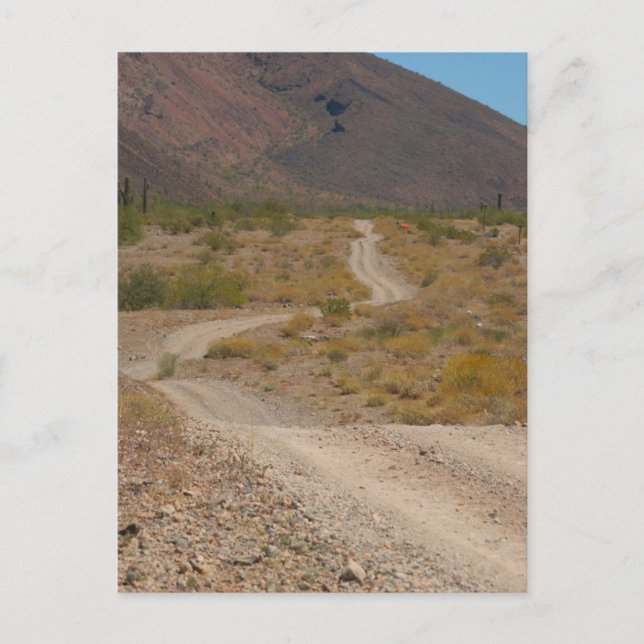Carte Postale Lonely Desert Road 01 (Devant)
