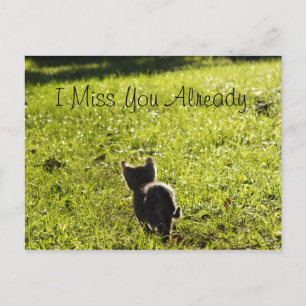Carte postale Lonely Kitten "Missing You" *Personn