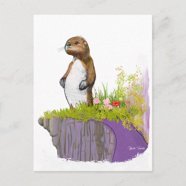 Carte Postale Lonely Otter (Devant)