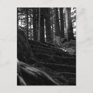 Carte Postale Lonely Stair Way