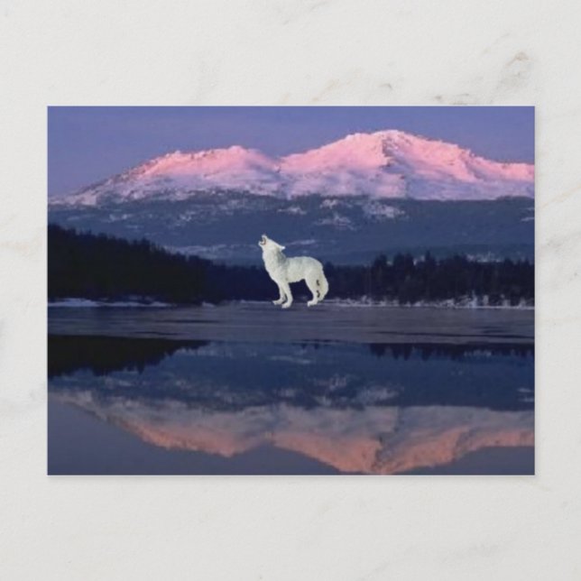 Carte Postale Lonely Wolf (Devant)