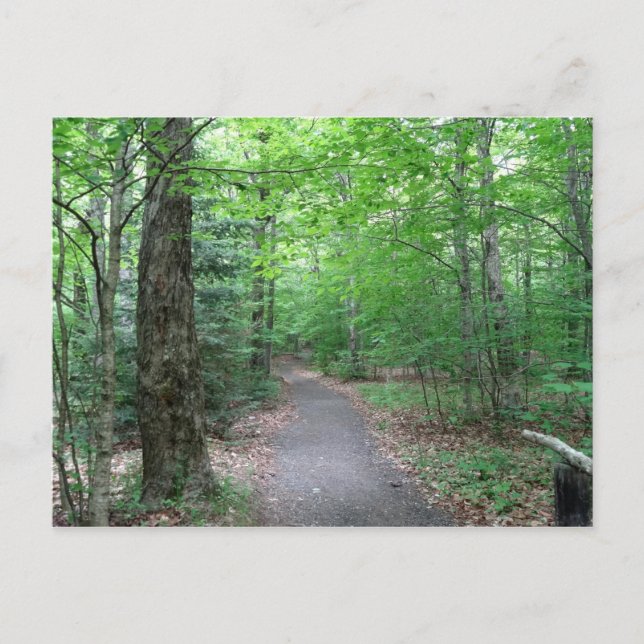 Carte Postale Lonesome Lake Trail dans le New Hampshire (Devant)