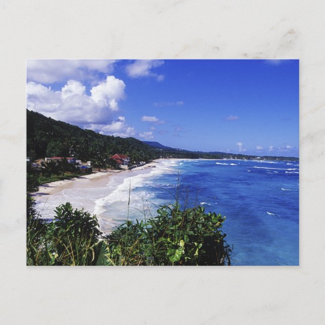 Carte Postale Long Bay, Port Antonio, Jamaïque (Devant)