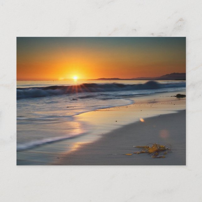 Carte Postale Long Beach California (Devant)