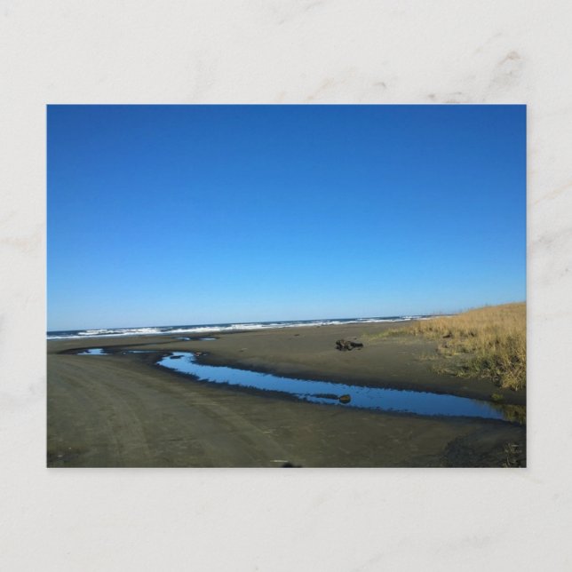 Carte Postale Long Beach, Washington (Devant)