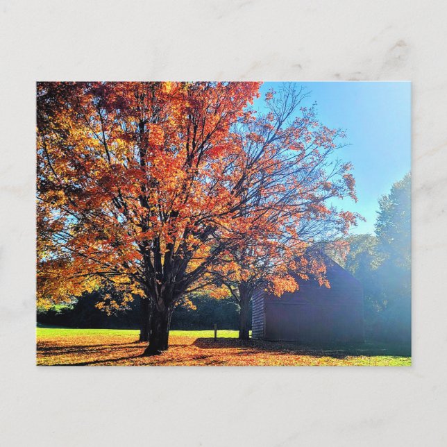 Carte Postale Long Island Autumn Fall Farm Grange New York (Devant)