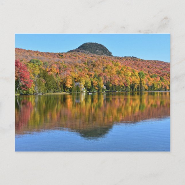 Carte Postale Long Pond en automne, Westmore, Vermont (Devant)