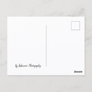 Carte Postale Long Road Home - voiture sur l'autoroute