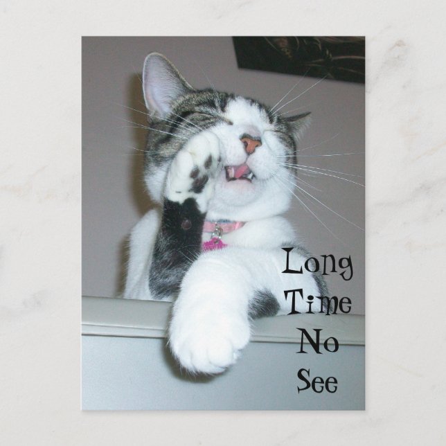 Carte Postale Long Time No Voir (Devant)