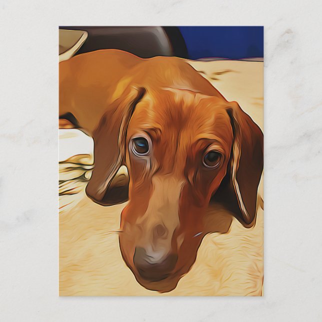 Carte Postale Longue Dachshund Est Allongé Sur Le Lit (Devant)