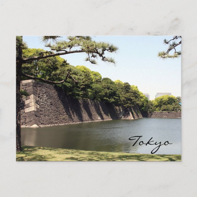 Carte Postale longue douve impériale (Devant)