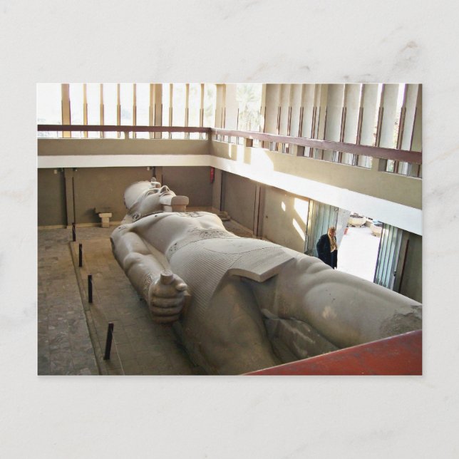 Carte Postale Longue photo de Ramses (Devant)