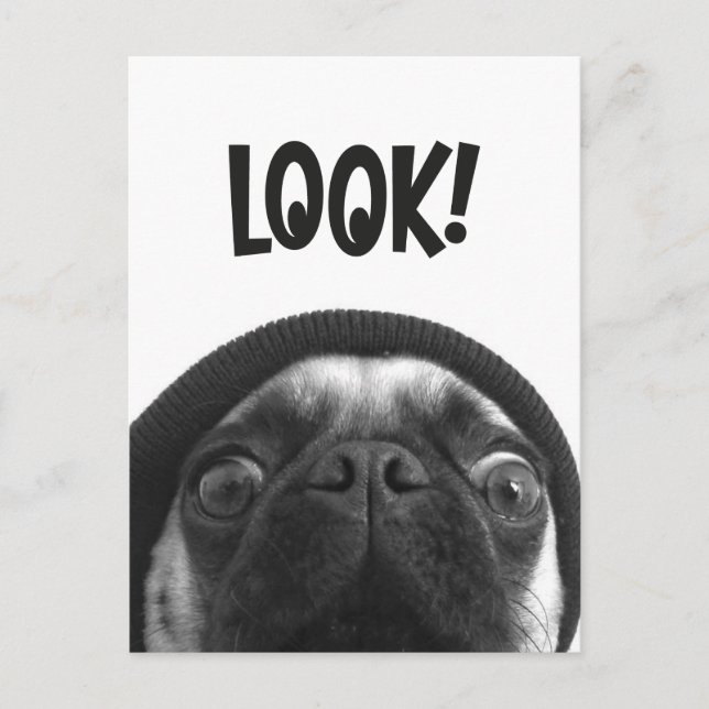 Carte Postale LOOK it's Lola the Pug (Devant)