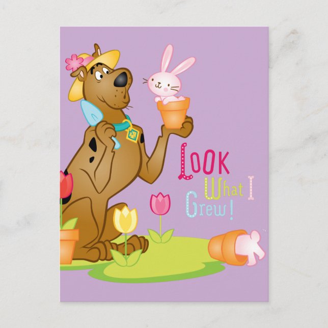 Carte Postale Look What Ier Grew (Devant)