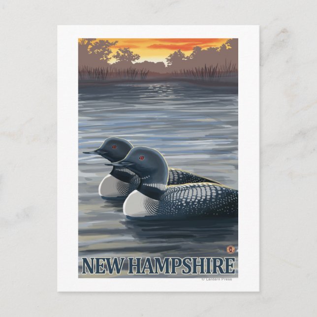 Carte Postale Loon commun du New Hampshire (Devant)
