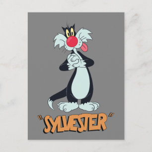 Carte Postale LOONEY TUNES™ Rires rétro   SYLVESTER™