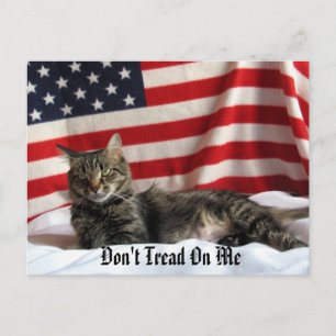 Carte Postale L'opinion politique de Nia