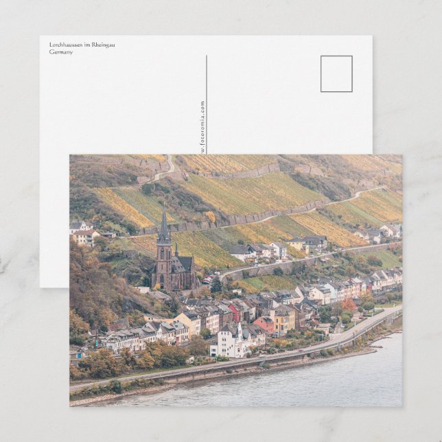 Carte Postale Lorchhausen Rheingau (Devant / Derrière)
