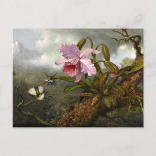 Carte Postale L'orchidée de Cattleya, deux colibris et un scarab