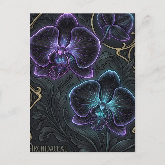 Carte Postale L'orchidée noire fleurit avec du violet biolumines (Devant)