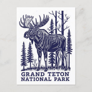 Carte Postale L'orignal dans le parc national de Grand Teton