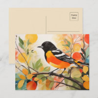 L'Oriole de Baltimore, un oiseau de charme de la n