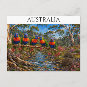 Carte Postale Loriquet arc-en-ciel et échidné d'Australie